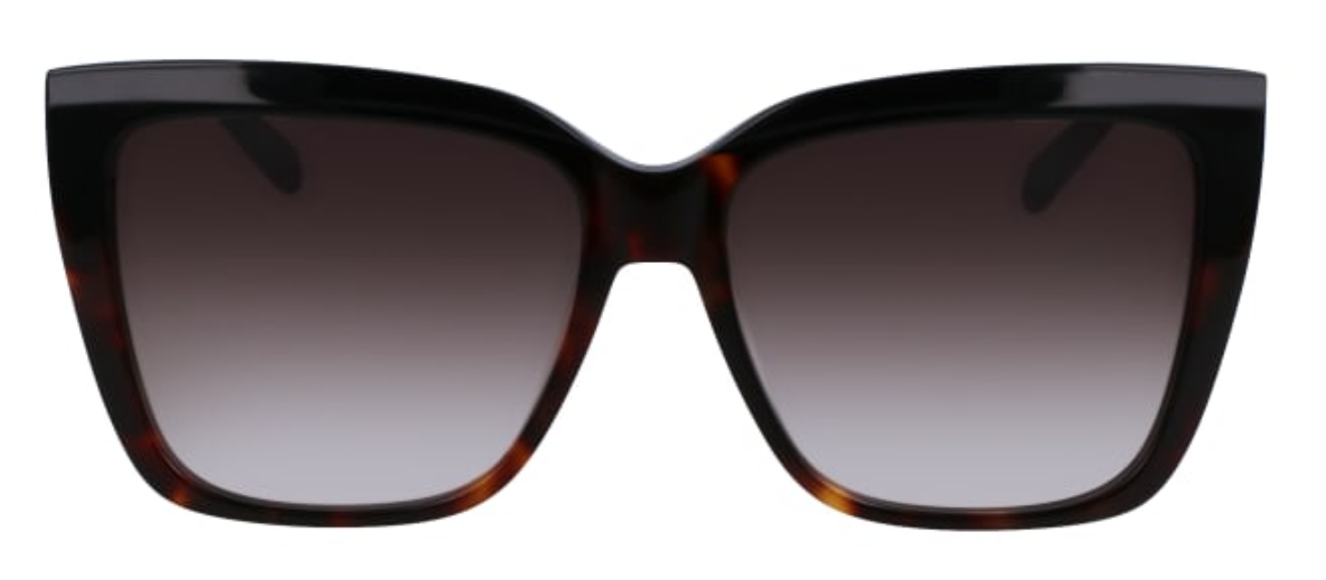 Ferragamo 1102S color 006