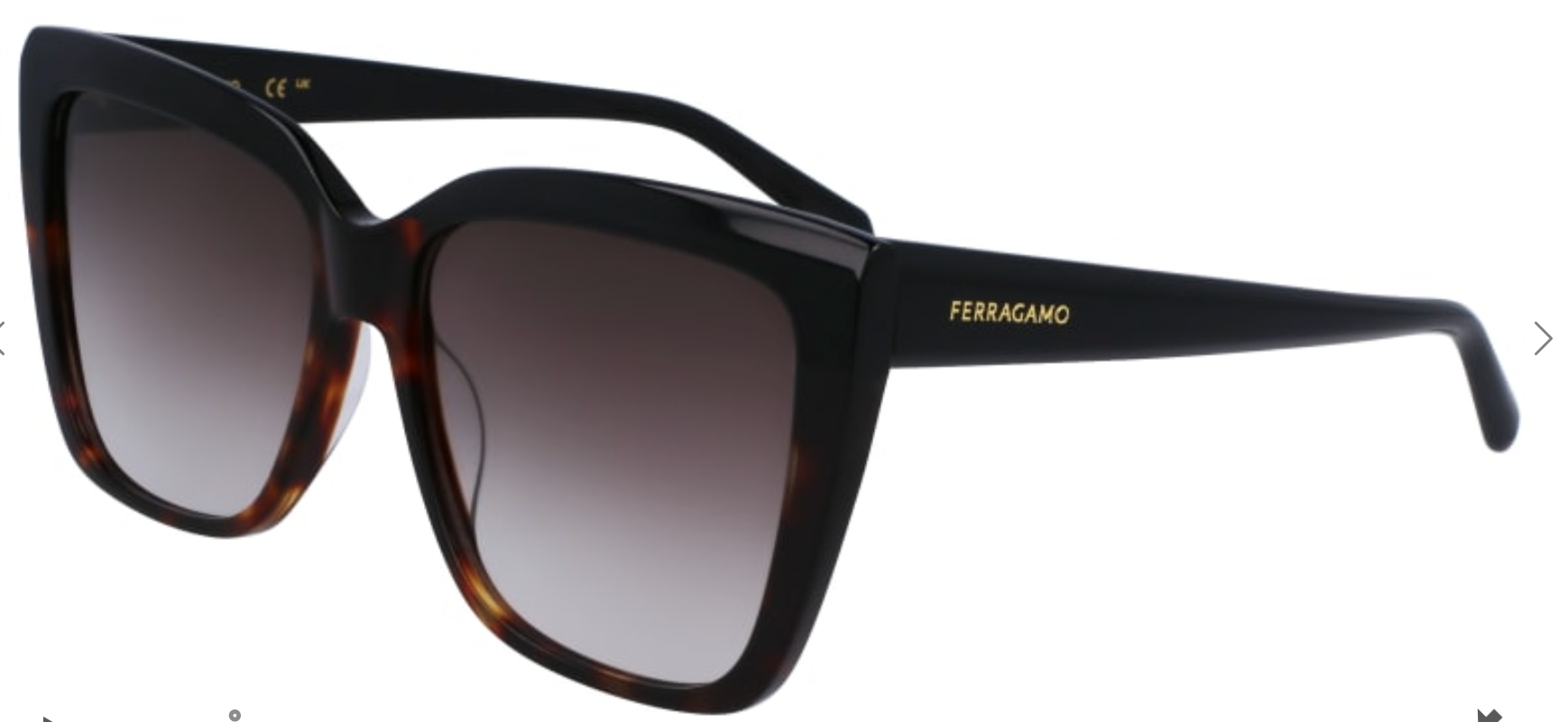 Ferragamo 1102S color 006