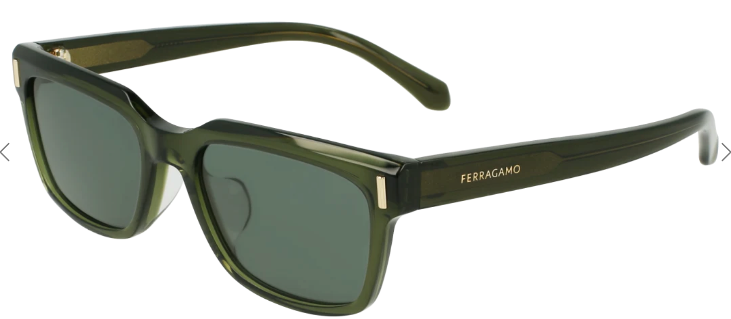 Ferragamo 2043SLB